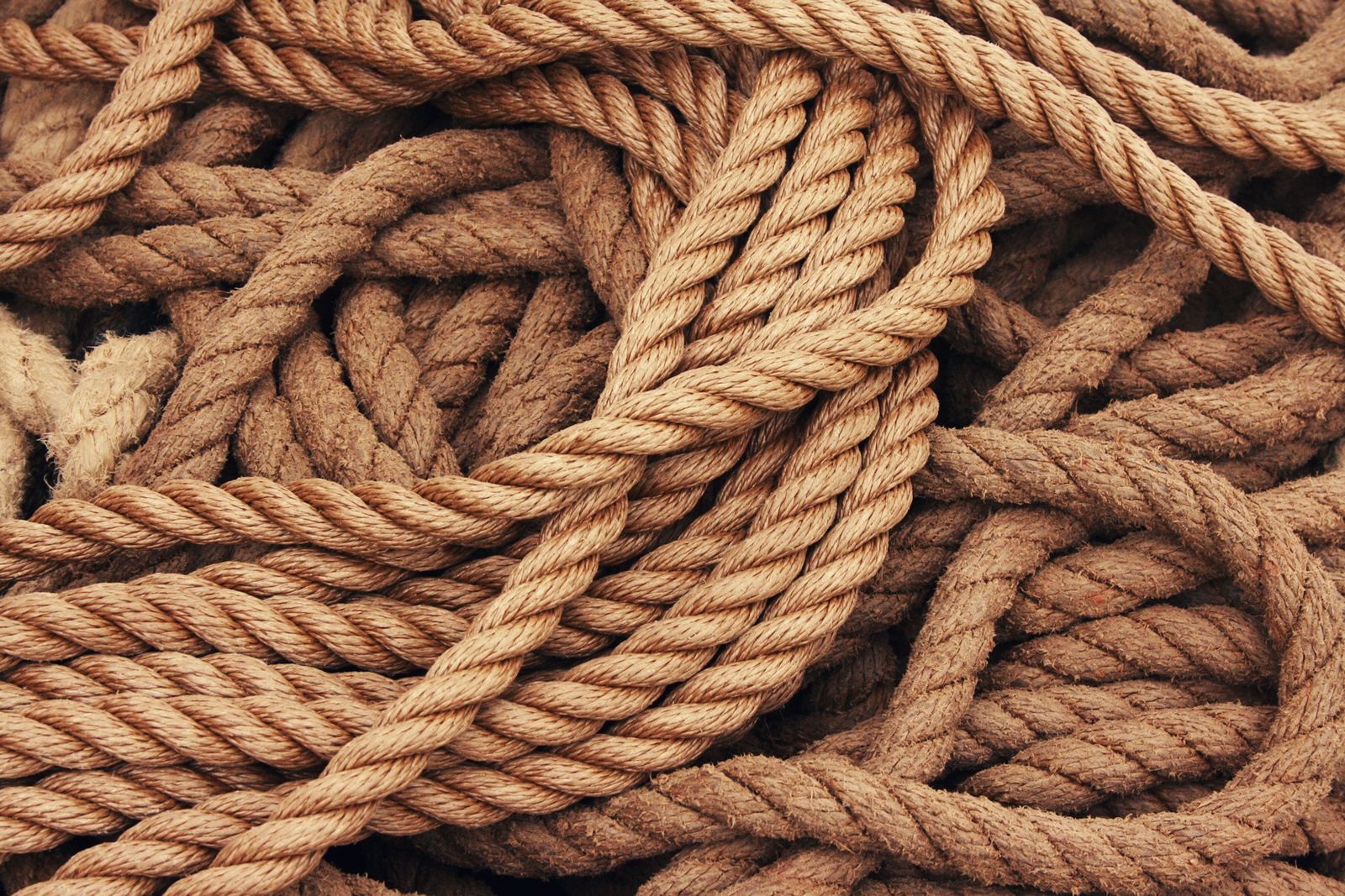 Upprullat naturrep i närbild